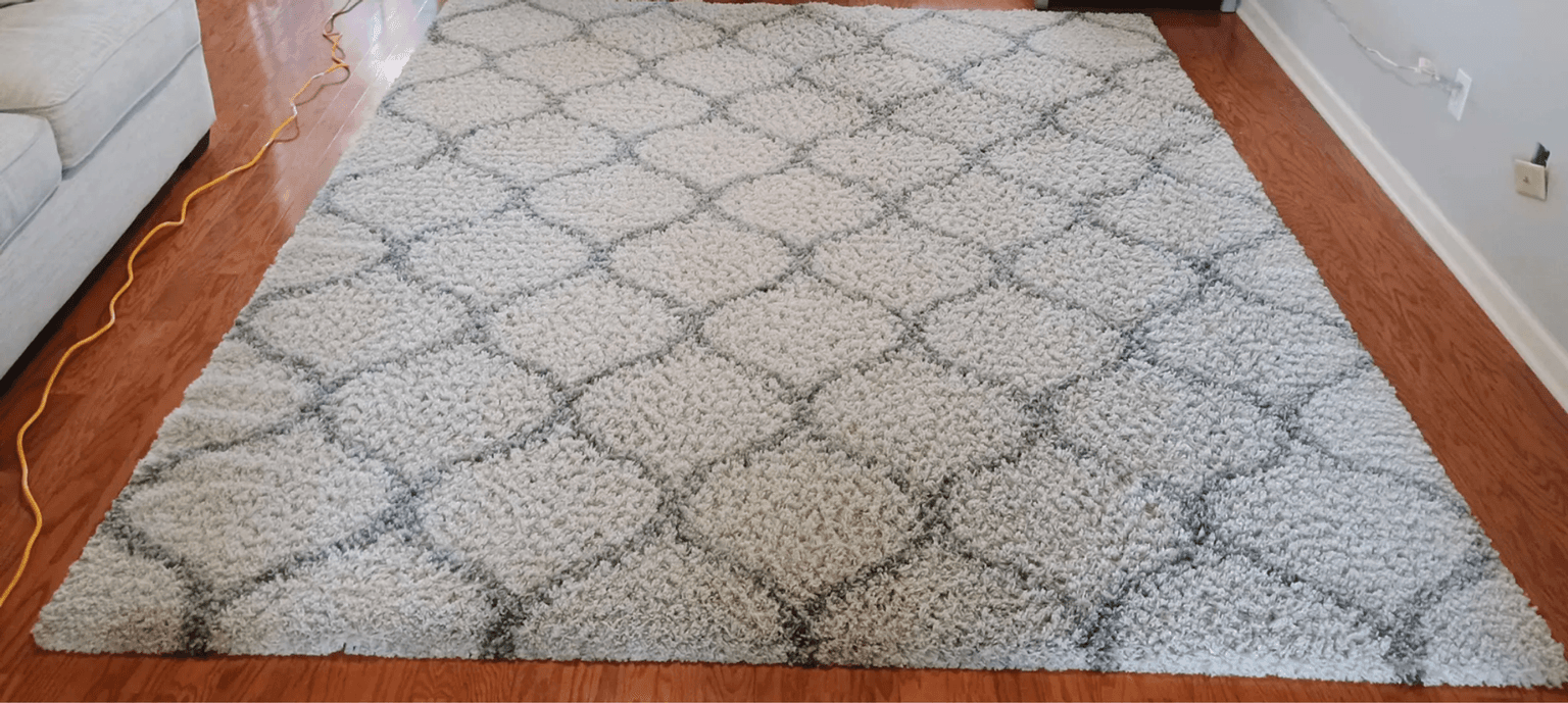 Area Rug Cleaning