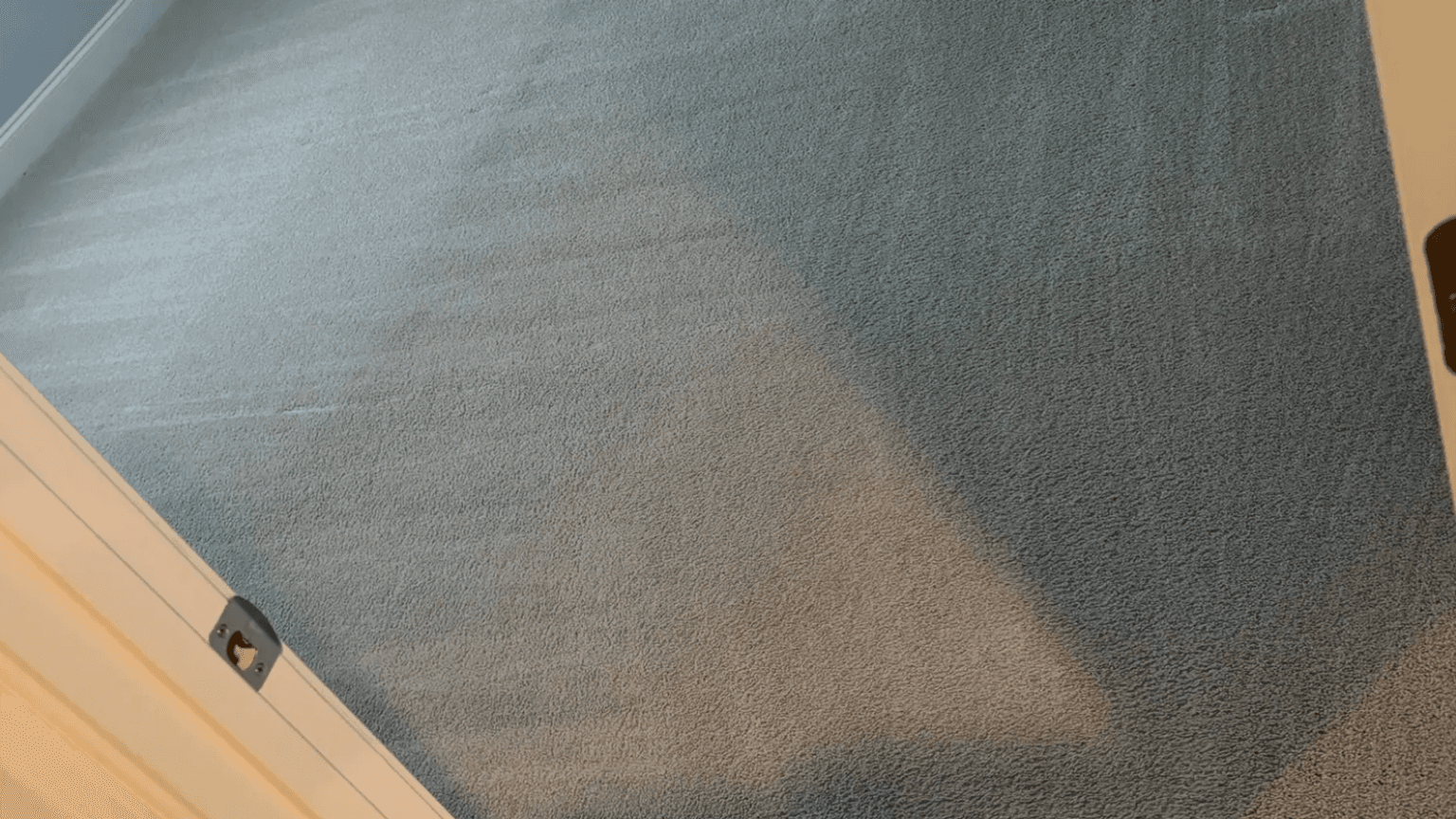 Pet Odor & Stain Removal